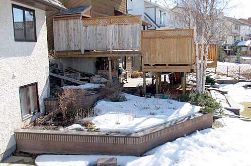 Backyard, March 2004 (Copyright 
2004 Christine Star Photography)