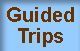 Guided Trips Page hyperlink button