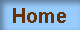 Home Page hyperlink button